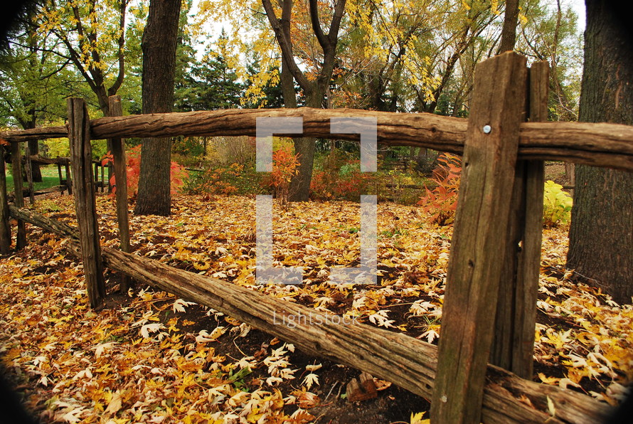 wood fence and fall leaves