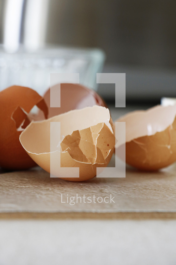 egg shells 