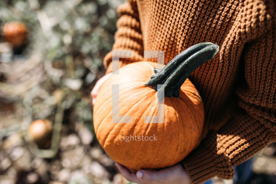 child holding an orange pumpkin 