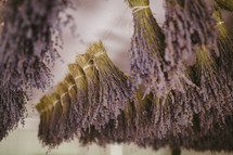 Hanging lavender bunches.