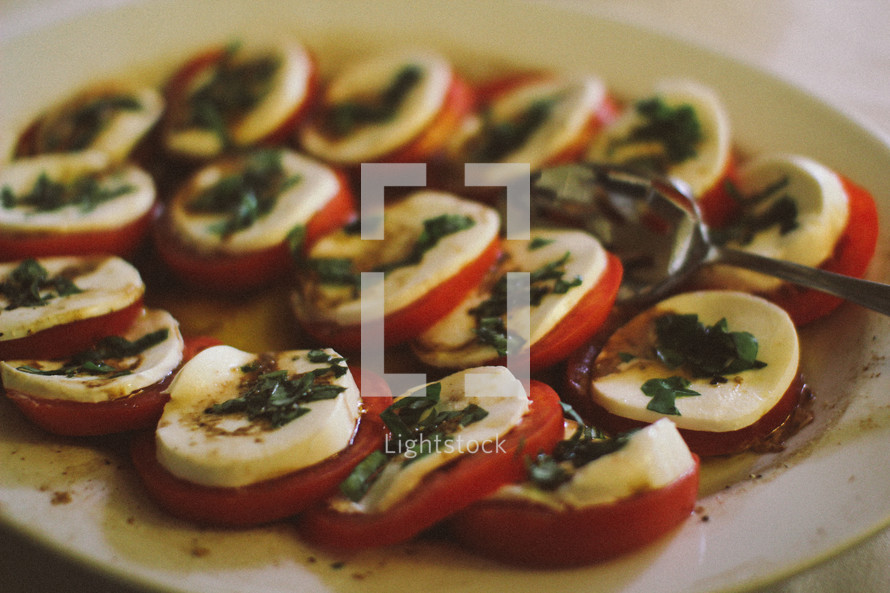 basil, mozzarella, and tomatoes appetizer 
