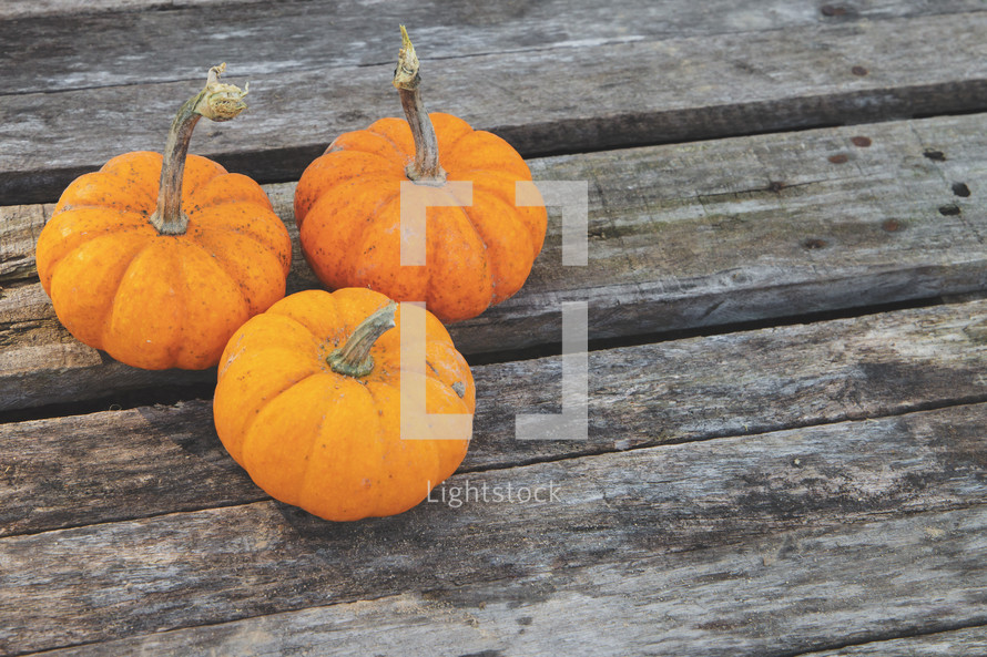pumpkins background for event slide or social media post