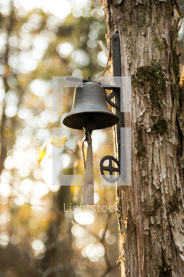 a dinner bell on a tree in the woods