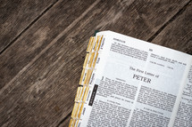 The First Letter of Peter 