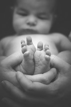 cupped hands holding newborn baby feet 