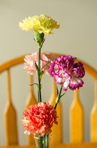 vase of colorful carnations 