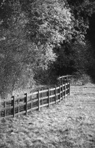 fence line and pasture 