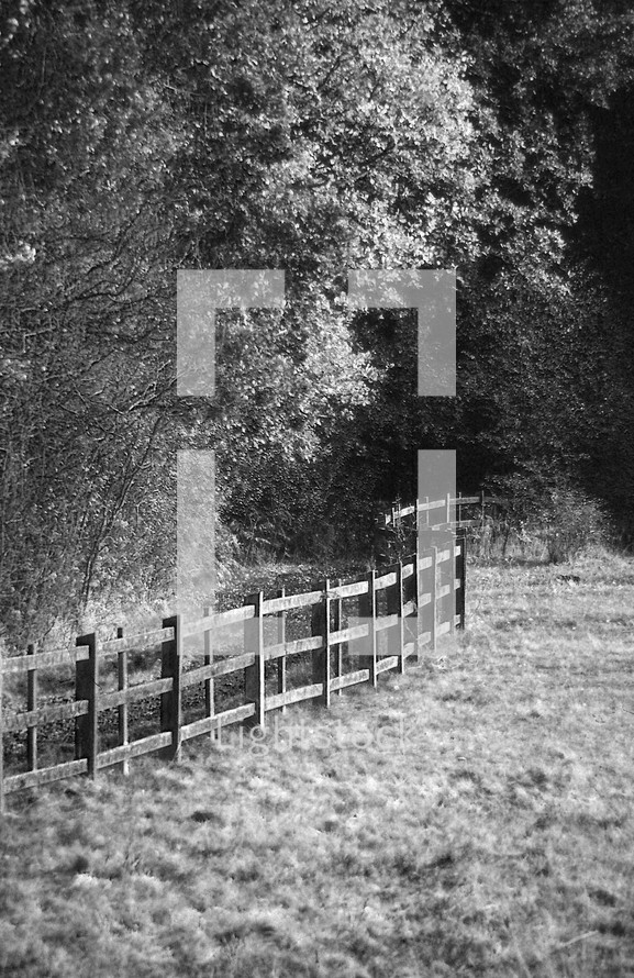 fence line and pasture 
