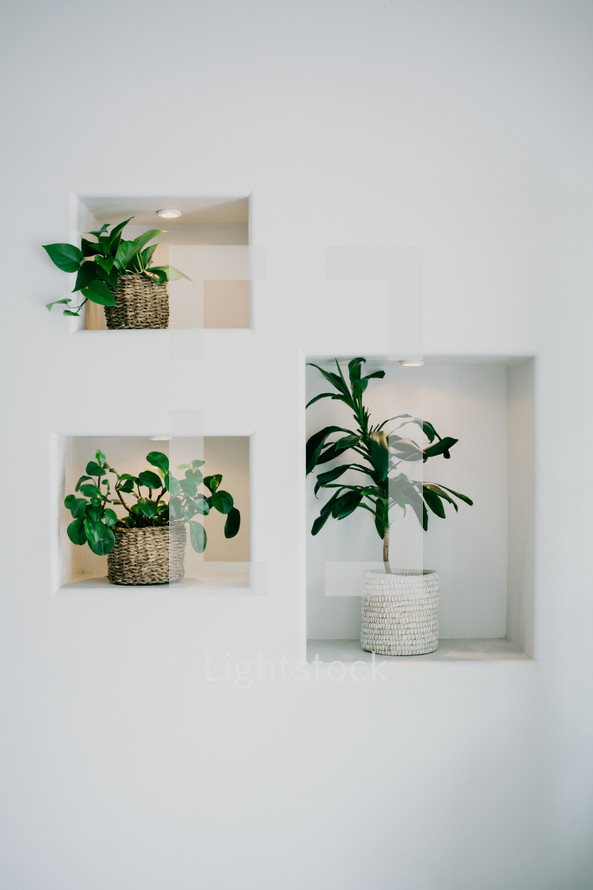 potted plants in wall cutouts 