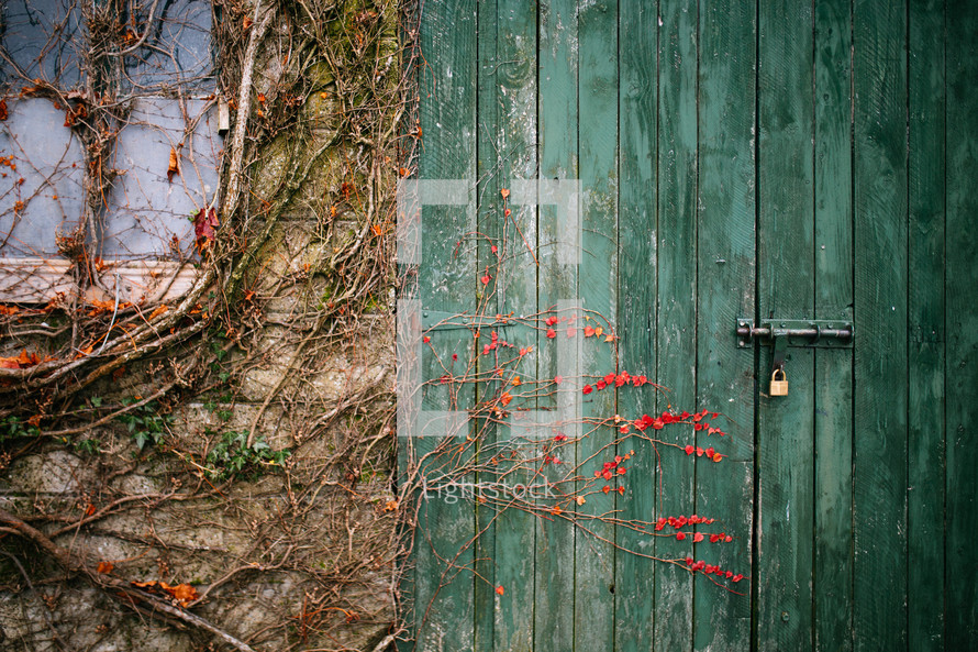 a latch on green wooden door 