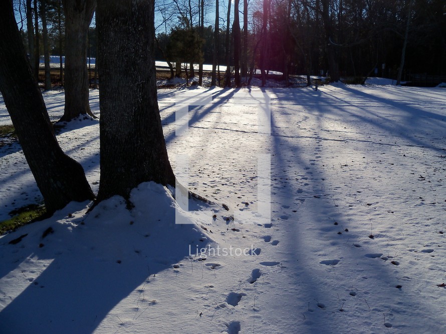 A set of footprints cast shadows along with trees in the snow on a cold winter day in Virginia.