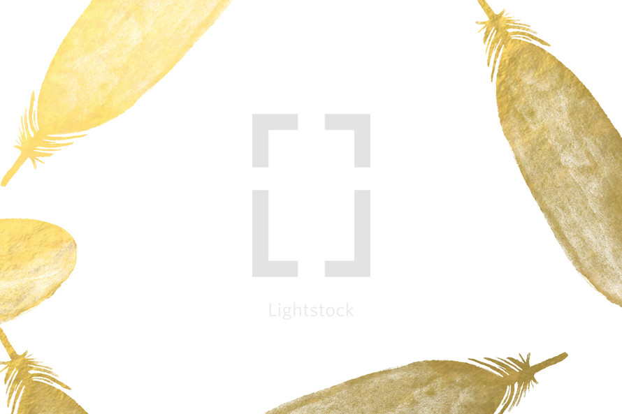gold metallic feathers frame 