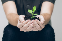 cupped hands holding soil and a plant