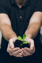 man with cupped hand holding soil and a plant