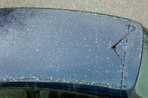Hail stones falling on roof of a car.