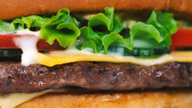 Macro detailed view of juicy beef burger layers. Cutlet, pickle, melted cheese, lettuce, sauce and topped sesame seeds. Junk fast food concept.