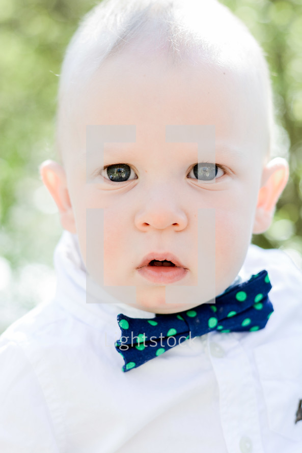 bright eyed baby boy in a bowtie 