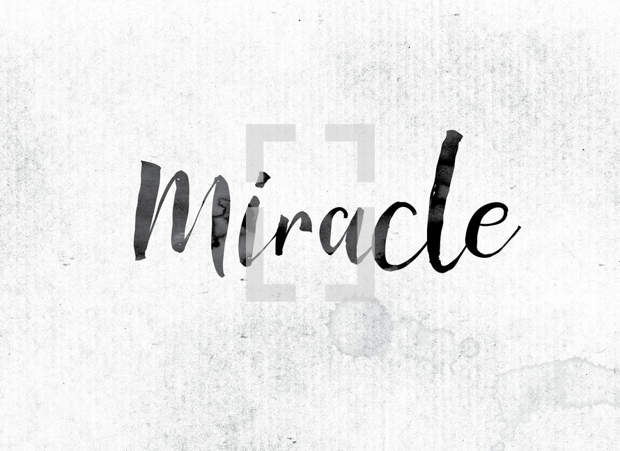 word miracle on white background 