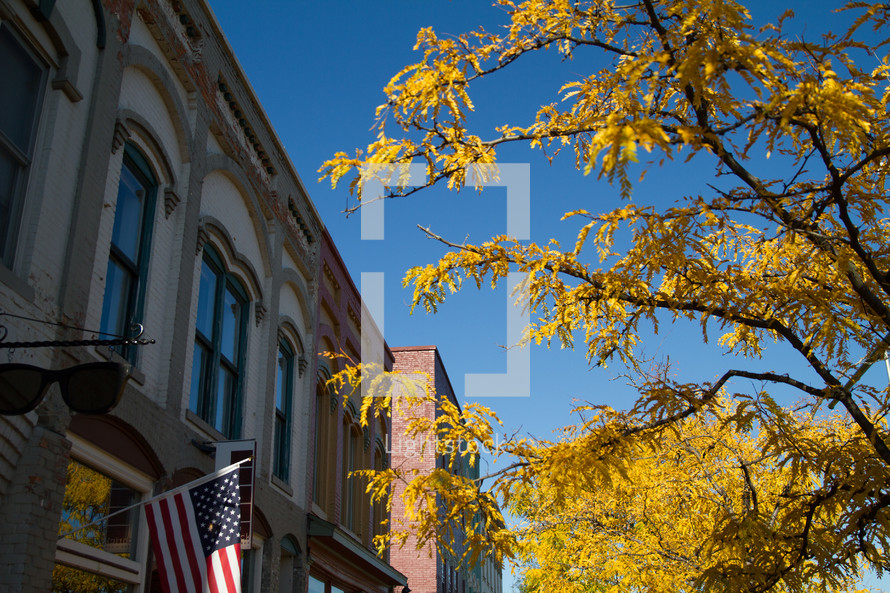 American flag on a building and fall tree 