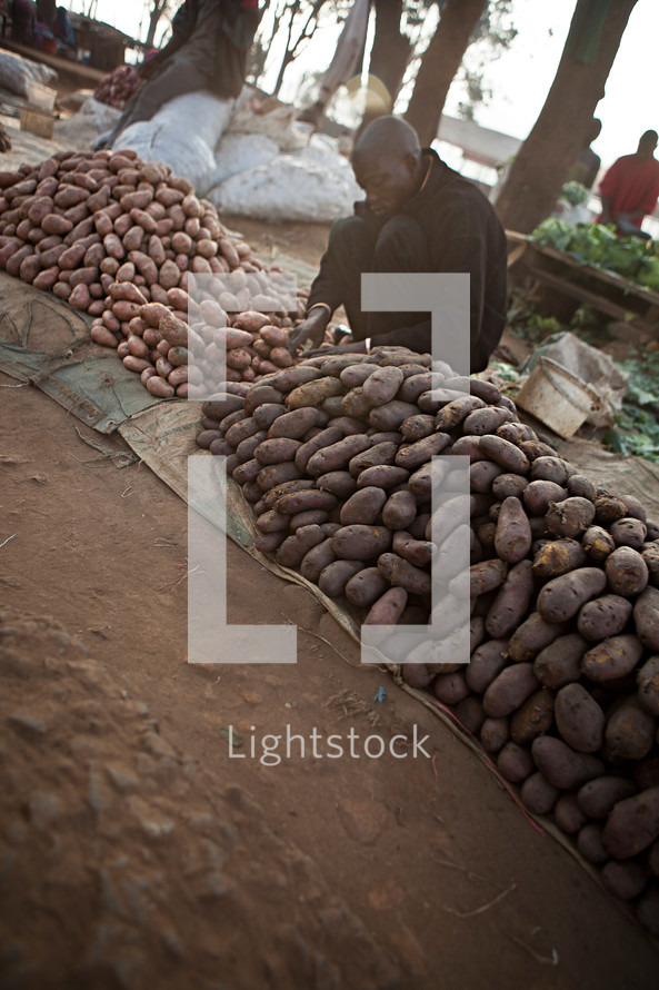 A man standing near potatoes in a market. 