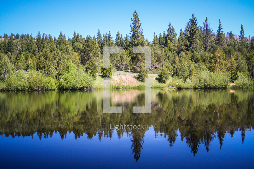 Lake reflection of trees.