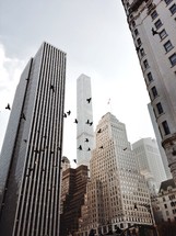 birds flying in a city 