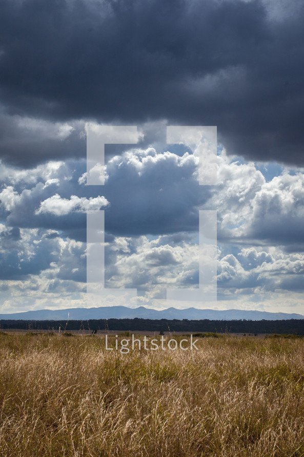 cloudy sky over a field 