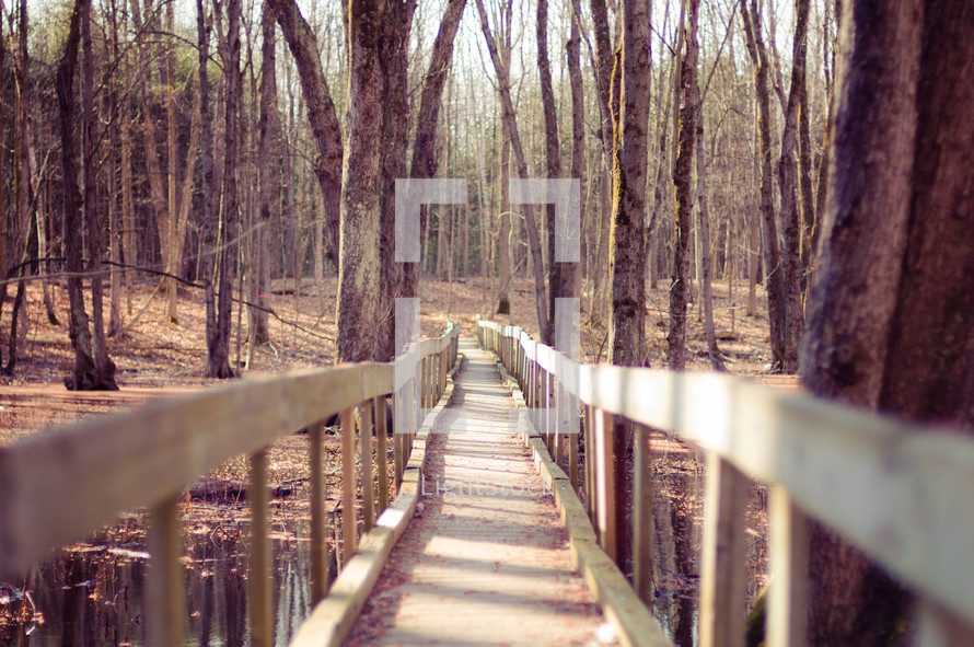 Wooden bridge across a lake through the trees.