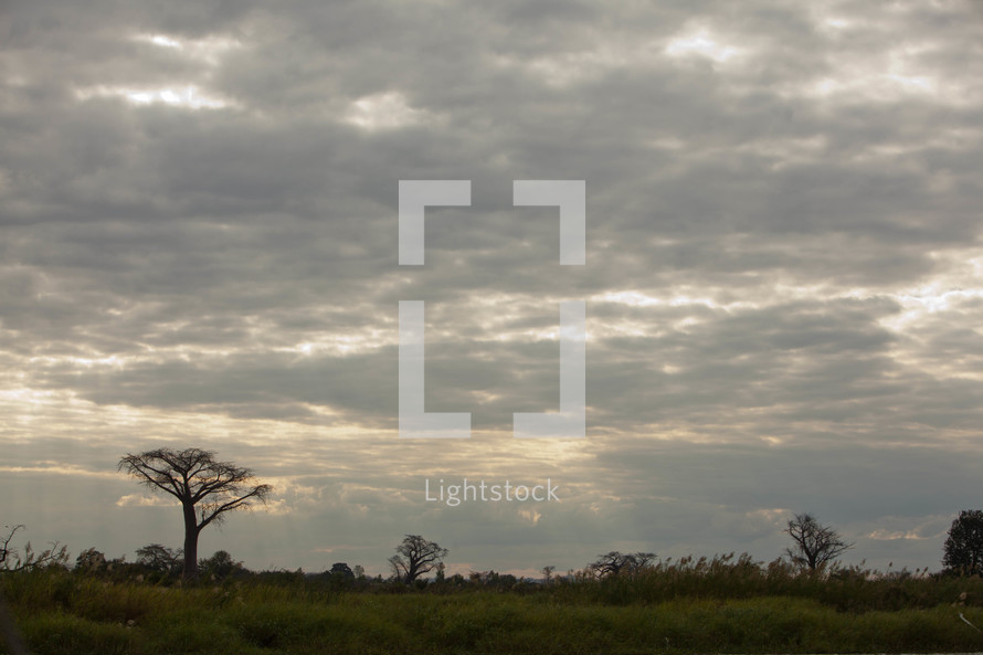 Malawi, Africa landscape