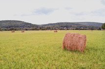 hay bales in an ope field