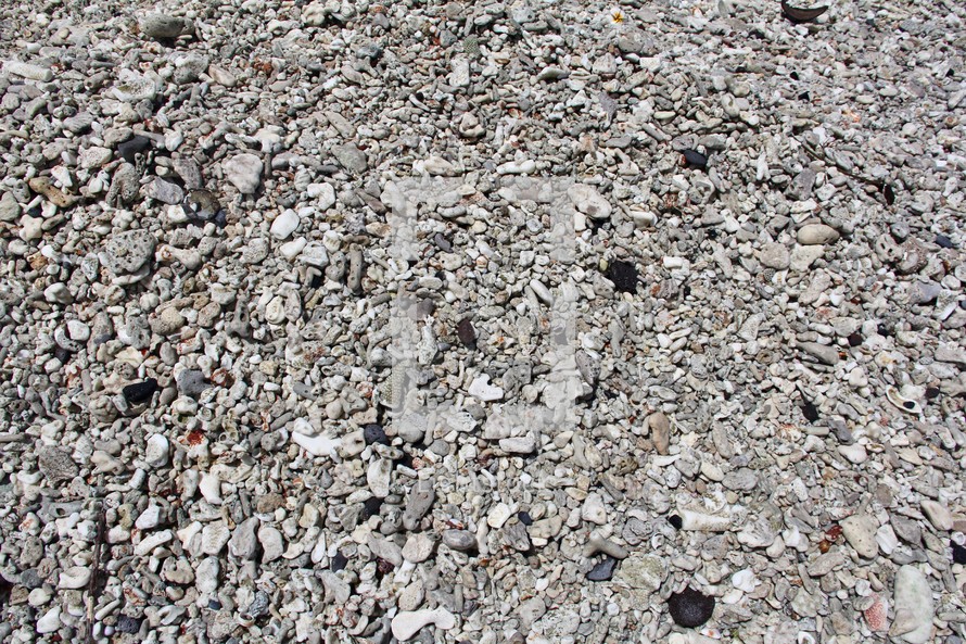 rocks chips ground texture 