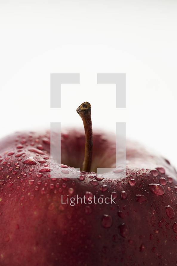 water droplets on an apple.
