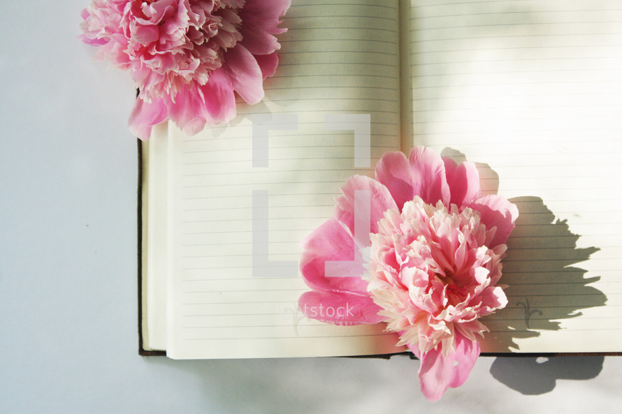 pink flowers on blank pages of a journal 
