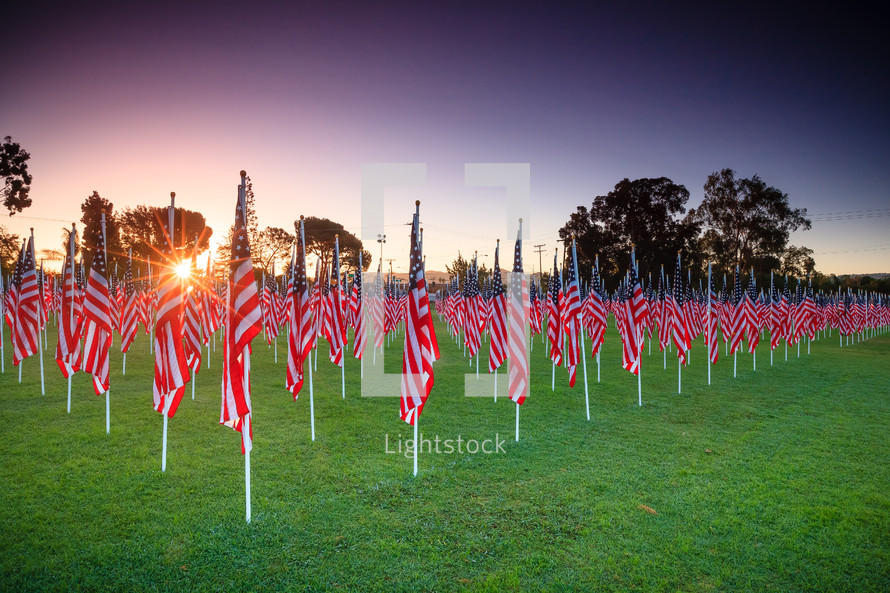 Rows of American Flags