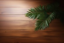 Palm leaves on wooden planks background