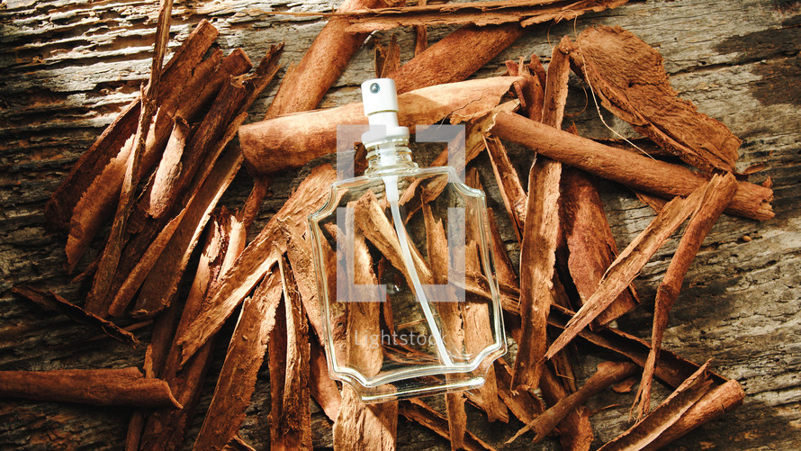 Perfume Bottle Resting On Cinnamon Stick