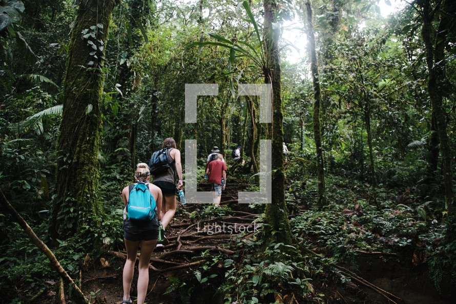 people hiking through a jungle 