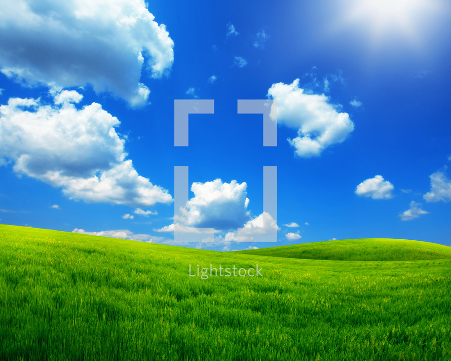green grass and blue sky on a sunny day