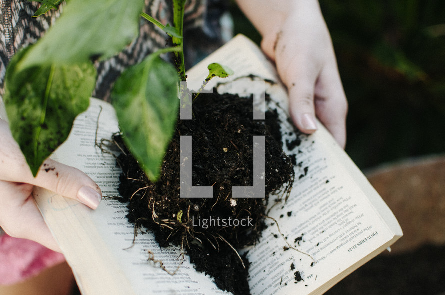 Hands holding an open book with a plant and dirt on the pages.