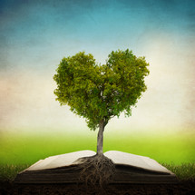 Heart-shaped tree growing out of an open Bible.