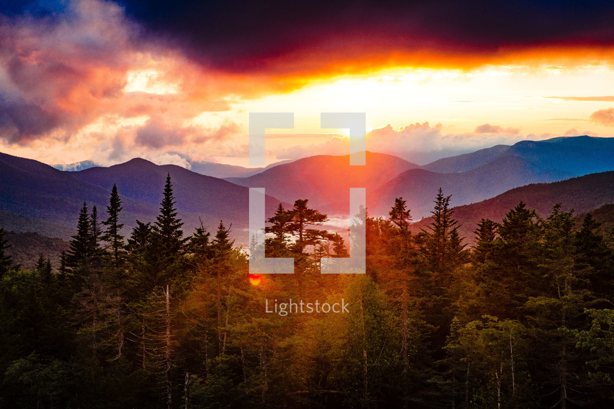 mountain forest landscape at sunset