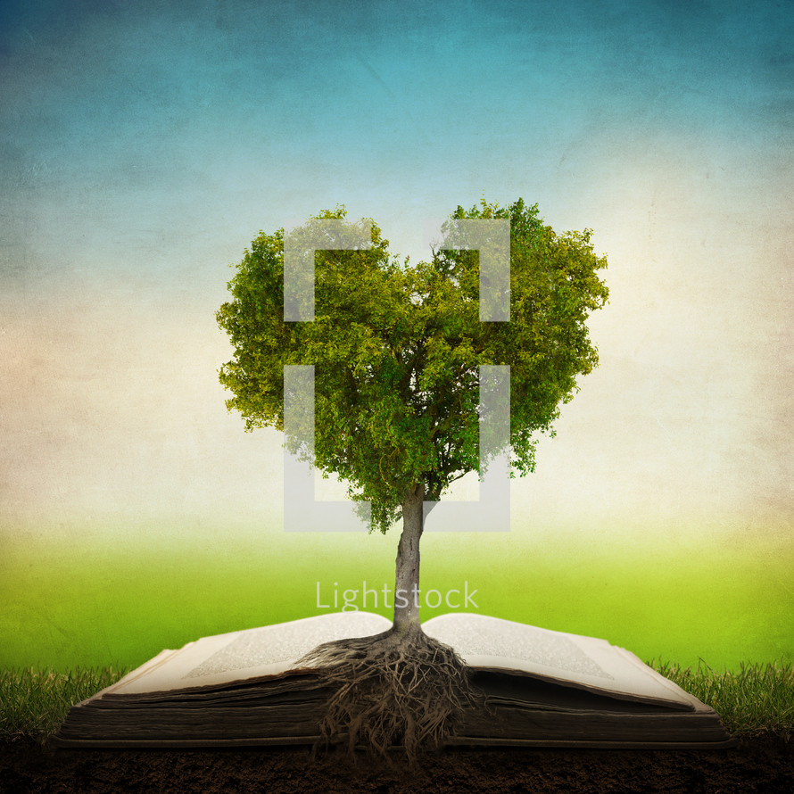 Heart-shaped tree growing out of an open Bible.