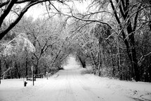snow covered road in winter 