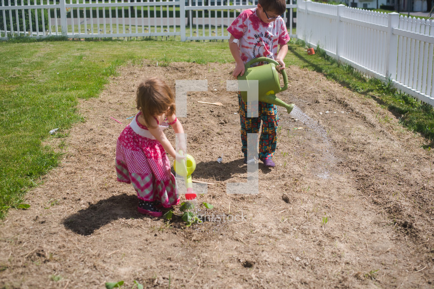 a brother and sister watering the garden with watering cans 