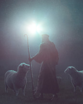 A shepherd in the field at night watching a bright shining star on the very first Christmas