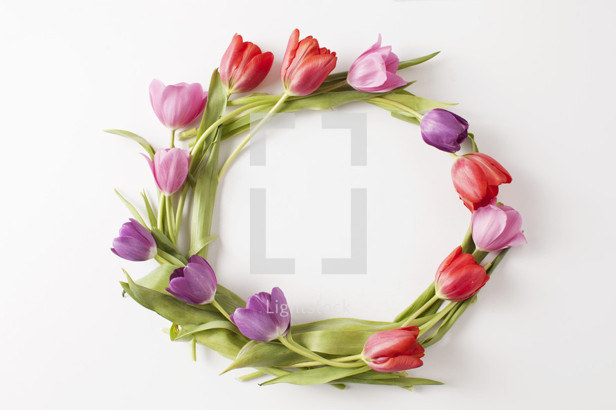 spring wreath of tulips 