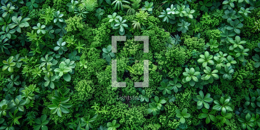 Green leaves background. Top view of green leaves background. Nature background.