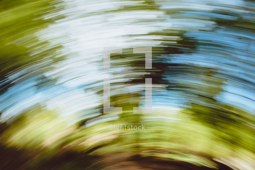blur of a moving camera in a forest 
