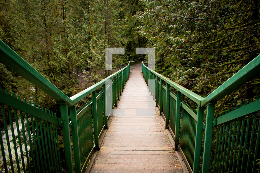 wooden walking trail and footbridge in a forest 
