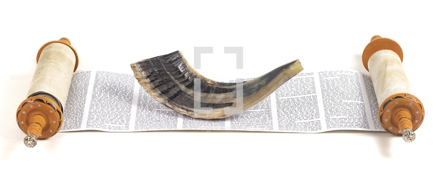Torah Scroll and the Shofar Horn Isolated on a White Backgroun